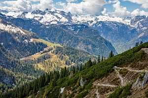 Alpenpanorama 2