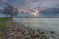Rivier de Lek bij Groot-Ammers