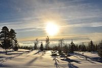 Snow landscape