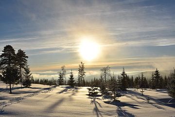 Snow landscape