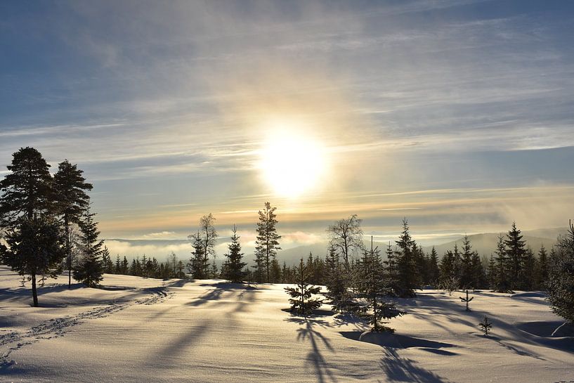 Snow landscape by M M