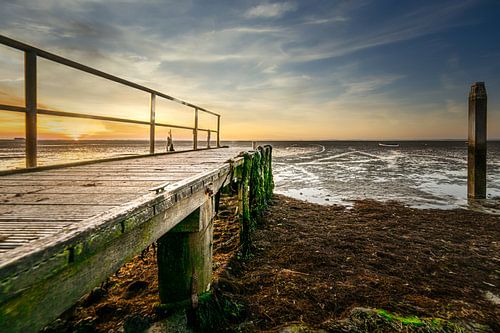 Scaffolding at Krabbendijke