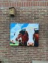 Photo de nos clients: Vache rouge et blanche avec des cornes sur Hendrik-Jan Kornelis
