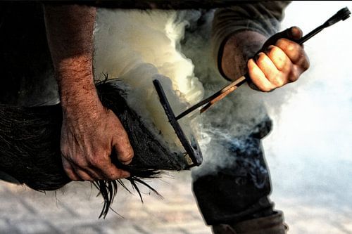 Farrier 2