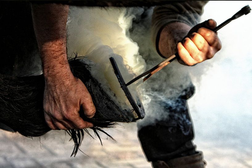 Hoefsmid 2 van Wybrich Warns