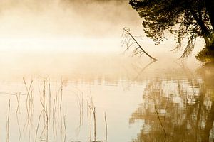 Morgennebel von Jeannine Van den Boer