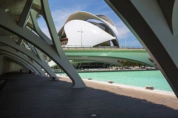 Valencia - Ciudad de las Artes y las Ciencias van Frank Herrmann