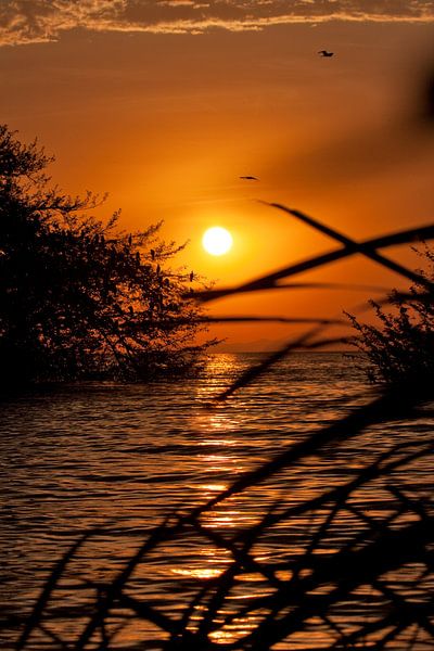 Sonnenuntergang am Viktoriasee von Paul Jespers