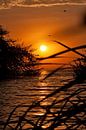 Sunset Victoriameer van Paul Jespers thumbnail