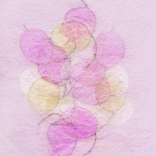 Zilverblad Roze Geel
