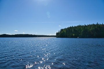 Lake in Sweden with white clouds, blue water and trees on the shore by Martin Köbsch