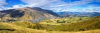 Panorama Lake County, Nieuw Zeeland van Rietje Bulthuis thumbnail