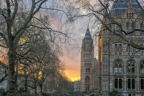 Musée d'histoire naturelle de Londres
