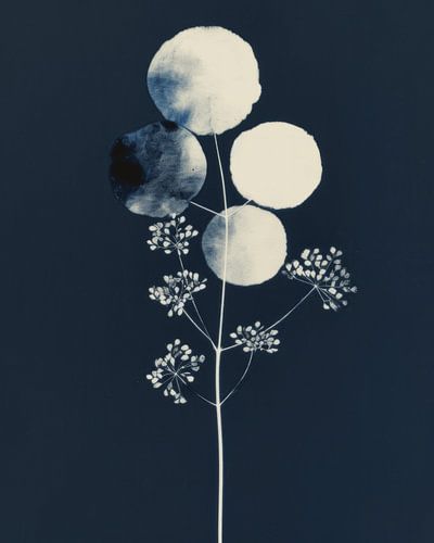 Botanisch in kobalt blauw