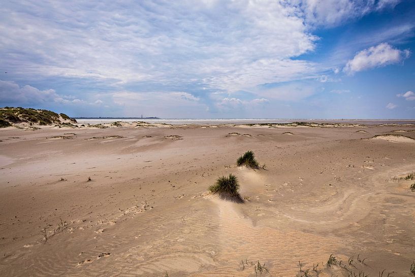 Dune area De Horsen Texel by Rob Boon