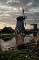 Holländische Windmühlen