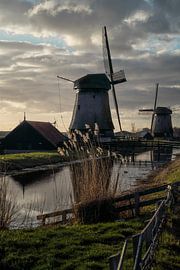 Dutch windmills by Manuuu