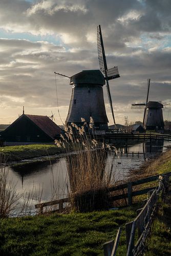 Nederlandse windmolens