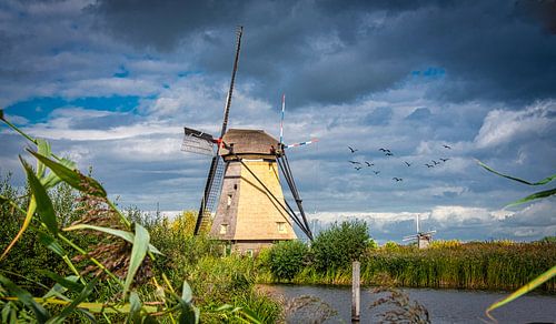 Molen bij Kinderdijk in het zonnetje, Nederland