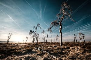 High Fens in colour - 1 by Edwin van Wijk