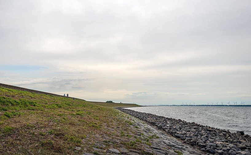 Fietsers op een lange Nederlandse dijk aan het Haringvliet van Ruud Morijn