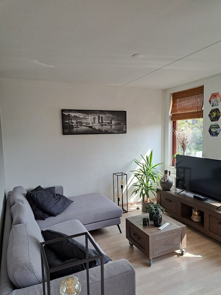 Skyline Pont Erasmus de Rotterdam - Noir et blanc  par Vincent Fennis 