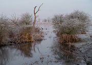 Meinerswijk part 94 by Tania Perneel thumbnail