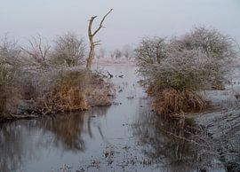Meinerswijk Teil 94 von Tania Perneel
