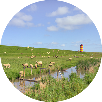 Schaapskudde bij de vuurtoren van Pilsum in Oost-Friesland van Michael Valjak