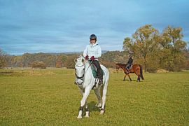Training with the white horse on a riding arena in autumn