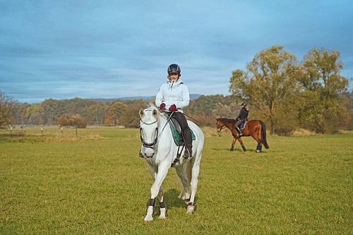 Training met het witte paard op een rijbak in de herfst