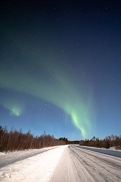 Dans van het noorderlicht boven Norrbotten - Magische winternacht in Lapland van Fototante