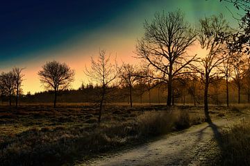 Zwischen Stille und Schatten von Made by Martin