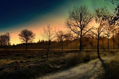 Tussen stilte en schaduw