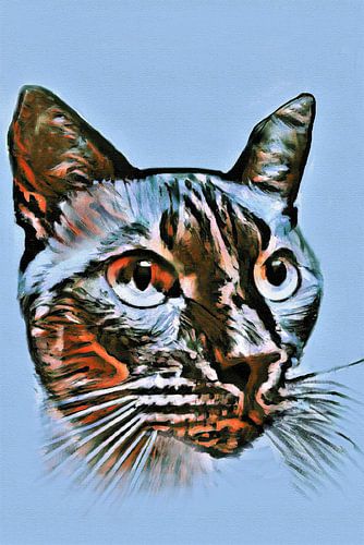 Portret van een oosterse kat met blauwe achtergrond