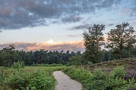 Hatertse en Overasseltse vennen Teil 12 von Tania Perneel