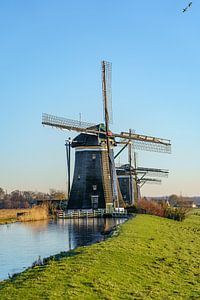 De Molendriegang van Stompwijk. van Jaap van den Berg