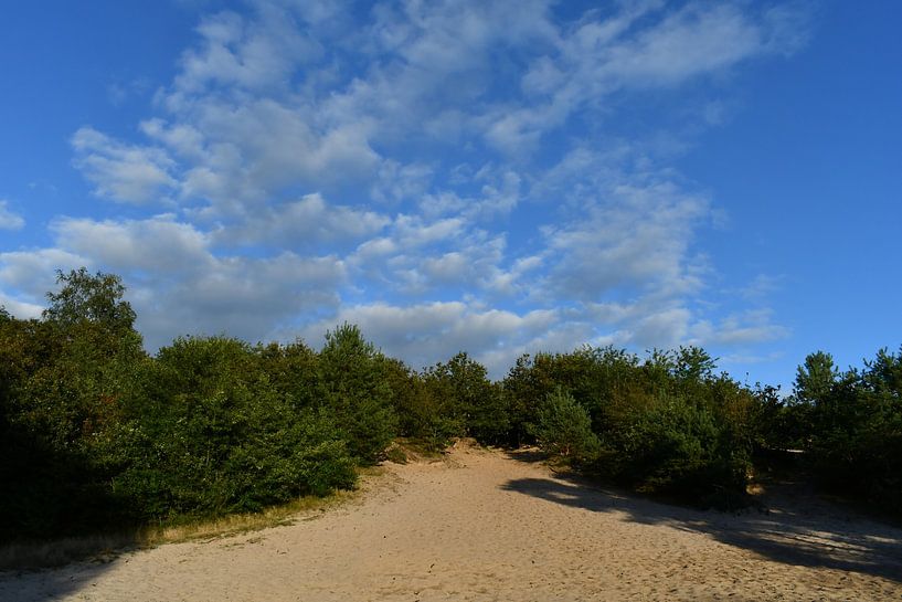 Rheezerbelten near Rheeze, Hardenberg by Bernard van Zwol