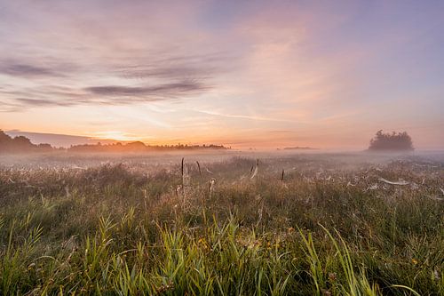 Colorful and misty sunrise