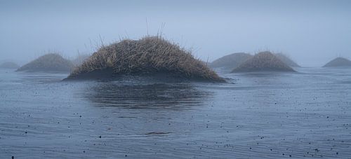 Stokksnes, IJsland, Europa