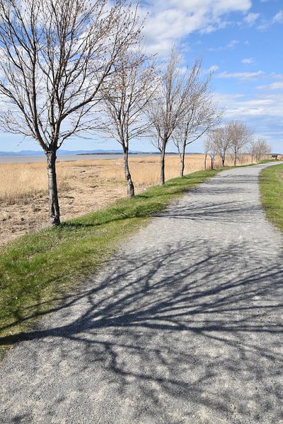A walk along the river in spring by Claude Laprise