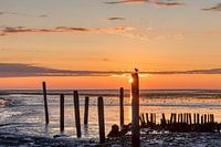 Sunrise on Texel