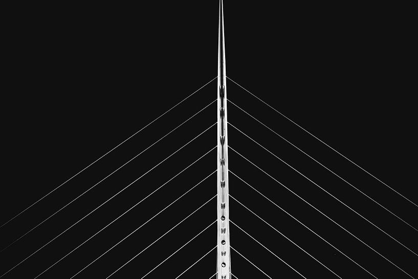 Der Flügel von On Your Wall