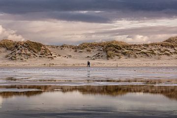 Na de overstroming van Orangefield-images