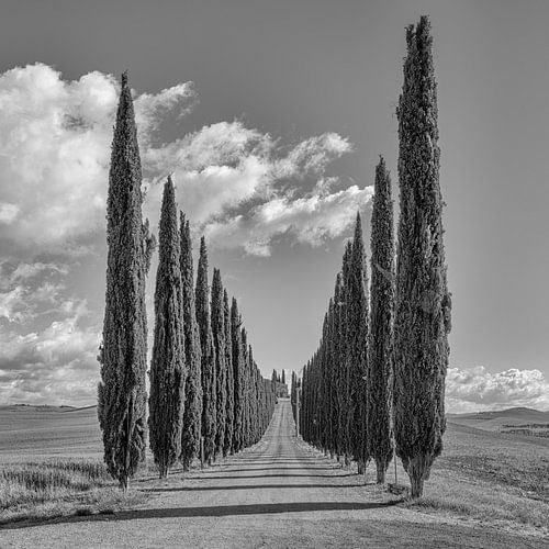Italië in vierkant zwart wit, Toscane