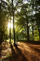 der Weg
