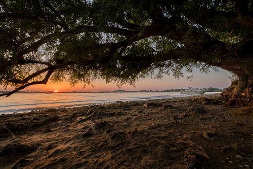 Warme zonsondergang vlakbij het Eiland van Maurik in de Betuwe