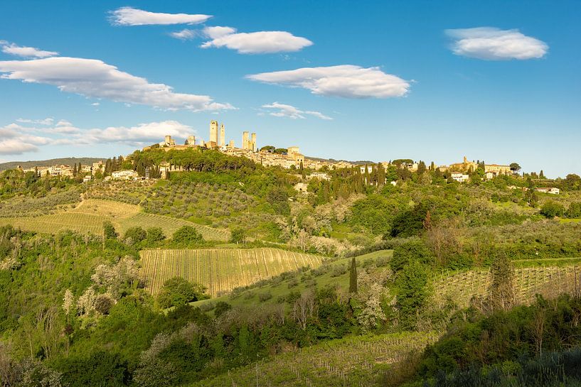 San Gimignano in der Toskana von Michael Valjak