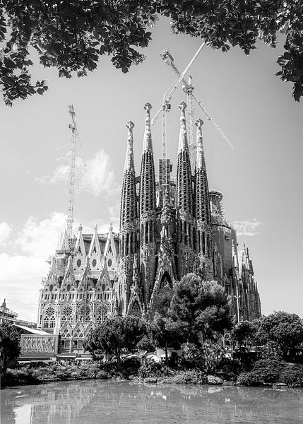 Sagrada Família, Barcelona by Jonas Röjestål