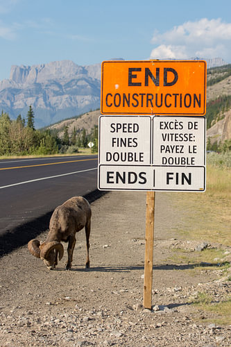 Road construction in Canadian national park